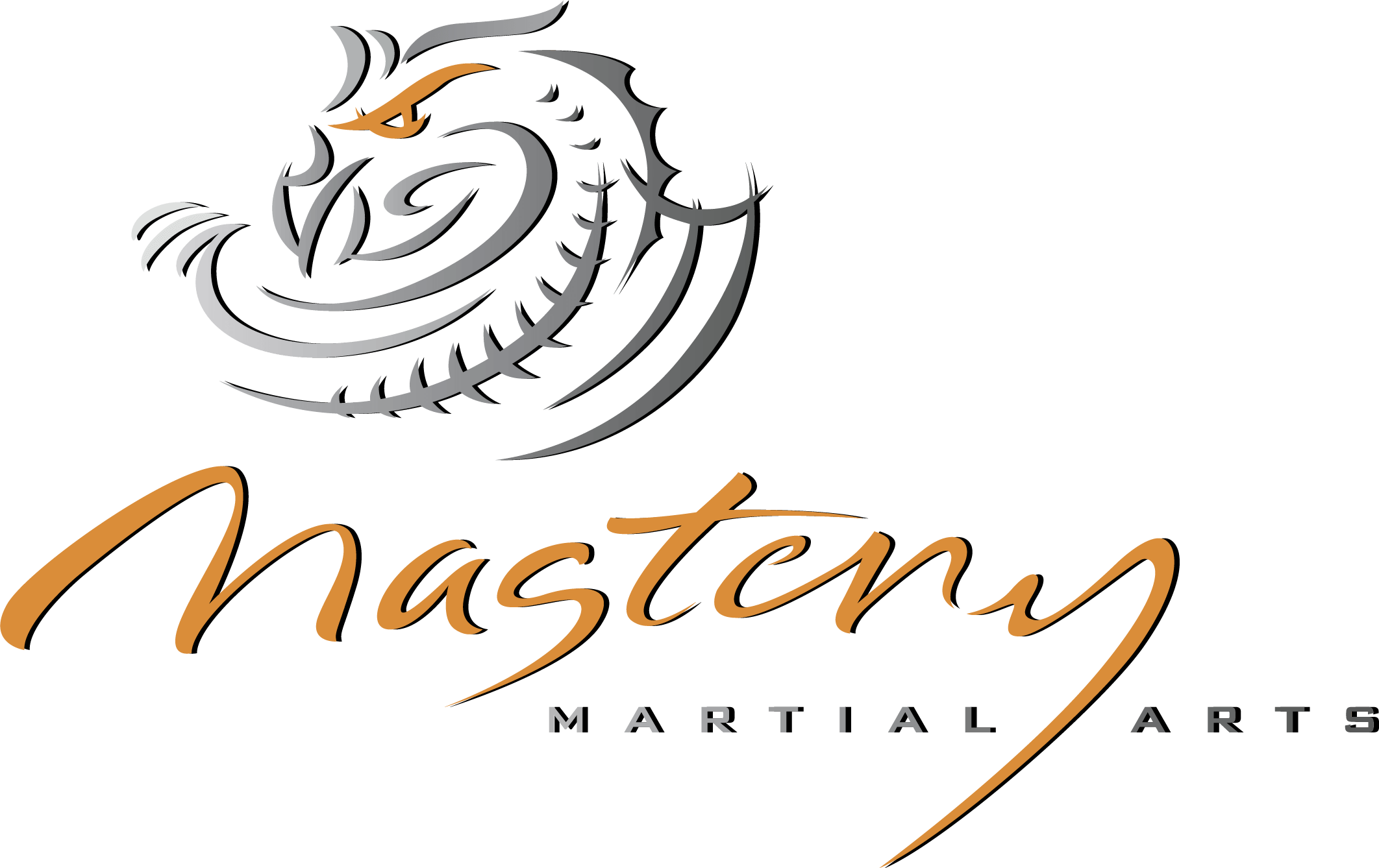 Mastery Martial Arts